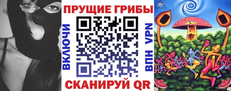 Галлюциногенные грибы Psilocybe  дарнет шоп  Приволжск 